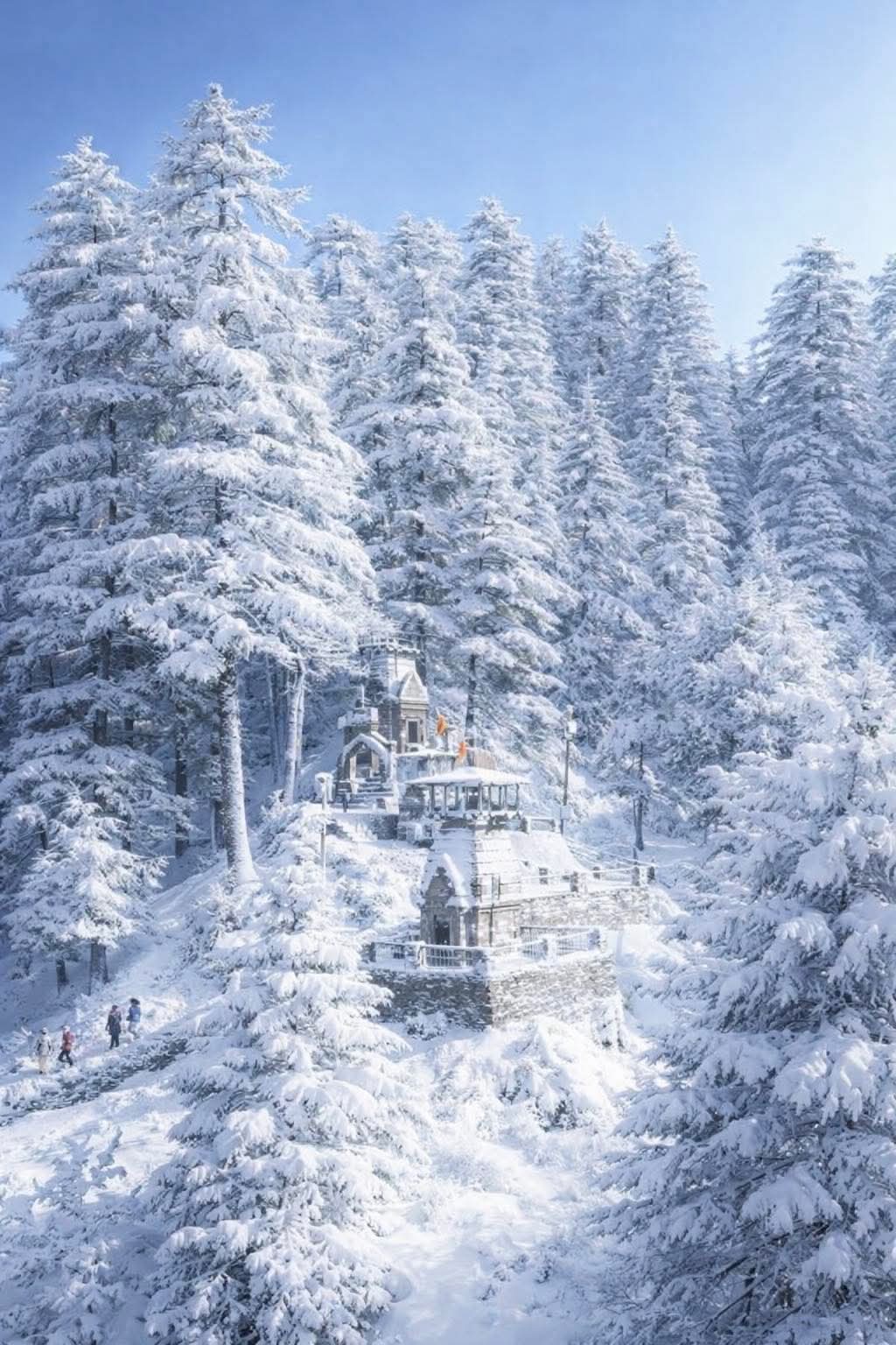 ❄️ जागेश्वर धाम में बर्फबारी का अलौकिक नज़ारा, देवदारों की वादियाँ बर्फ की चादर में लिपटीं ❄️