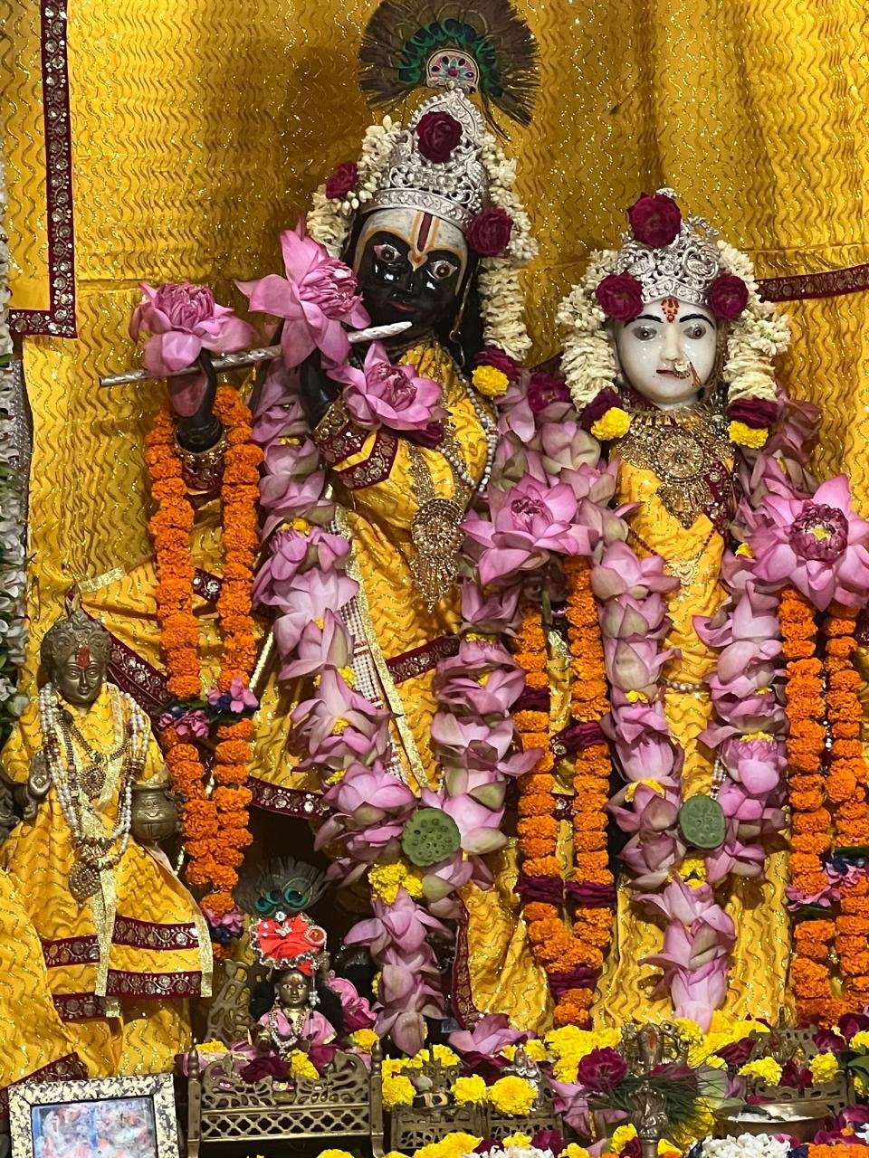तीज महोत्सव के बीच रक्तदान का महादान, 400 से अधिक लोगों ने लिया हिस्सा